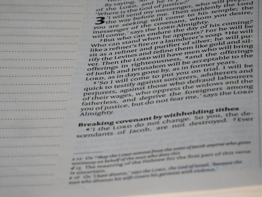 collaborate documents Microsoft Word