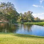 Securing Your Online Privacy with a Virtual Private Network