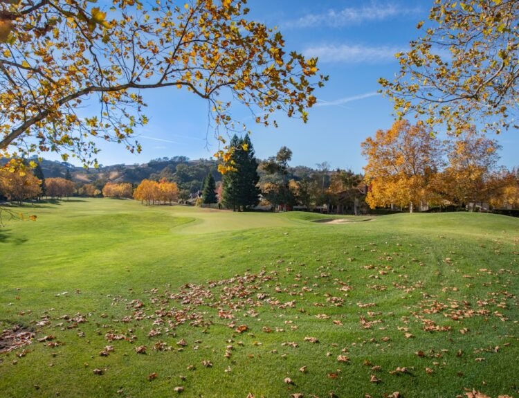 Photo share Wi-Fi password