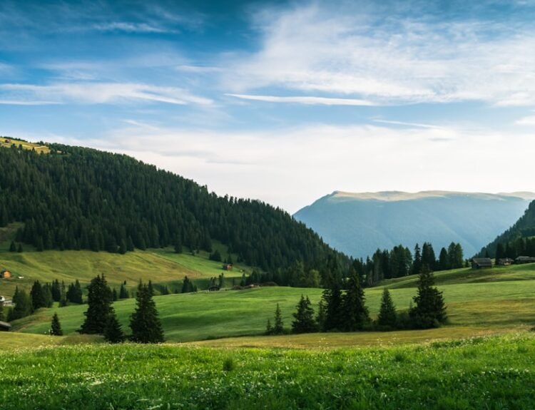 Photo Bluetooth not working